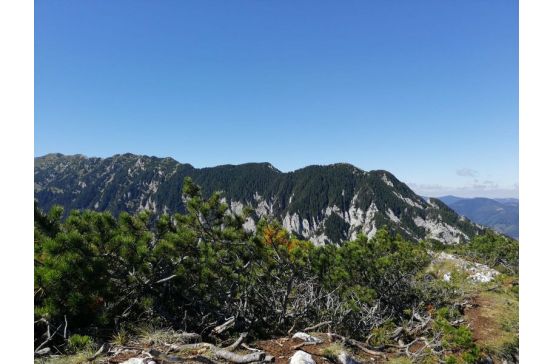 Amintirea vie a lui Sofroniei Gheorghe s-a asternut la poalele masivului Piatra Craiului în ultimul weekend din august: 4-6 septembrie, acolo unde el se simțea liber și fericit.