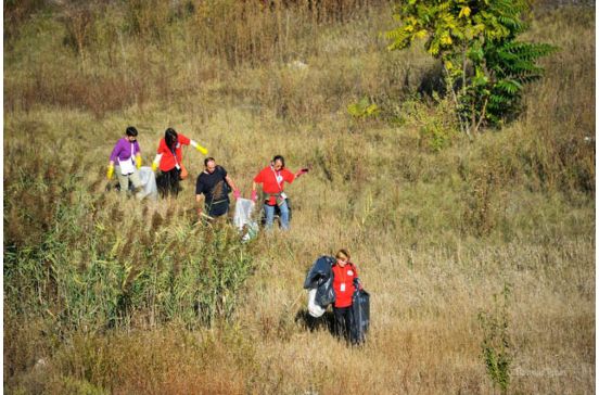 Participarea la acțiunile de ecologizare organizate de Asociația Let.s do it, Romania 2013