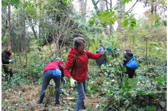 Participare în colaborare cu Asociația Team Work la proiectul “ Grădina Botanică – grădina orașului meu”