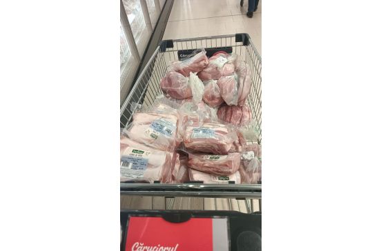 Voluntariat, caz umanitar