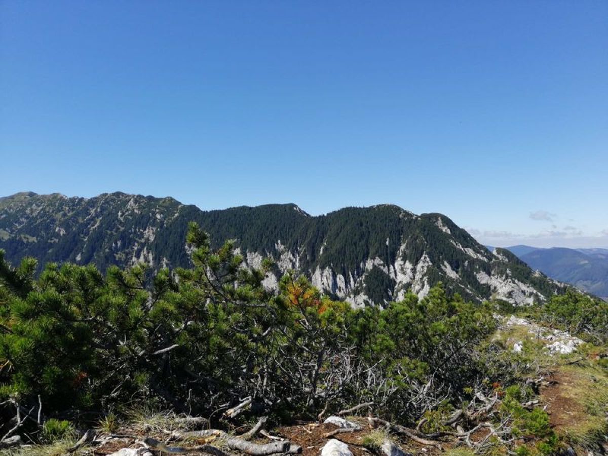 Amintirea vie a lui Sofroniei Gheorghe s-a asternut la poalele masivului Piatra Craiului în ultimul weekend din august: 4-6 septembrie, acolo unde el se simțea liber și fericit.
