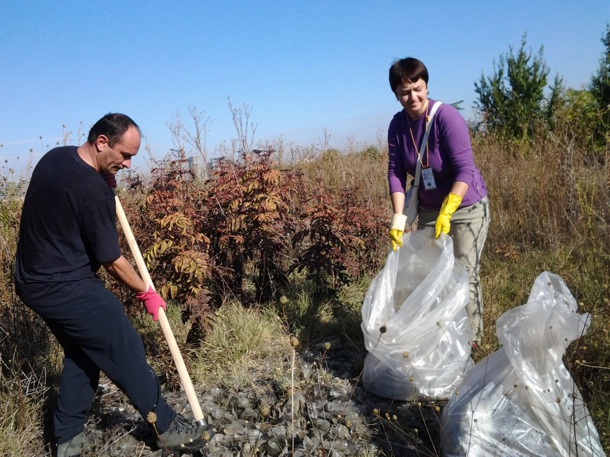 Participarea la acțiunile de ecologizare organizate de Asociația “Let”s do it, Romania!” 2013
